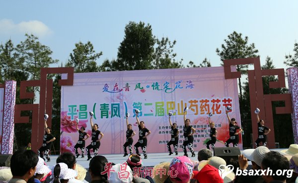 ������� �鶨����-�ڶ����ɽ��ҩ����־Ը����