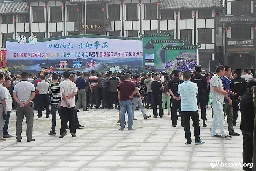 志愿服务第五届乡村文化旅游节